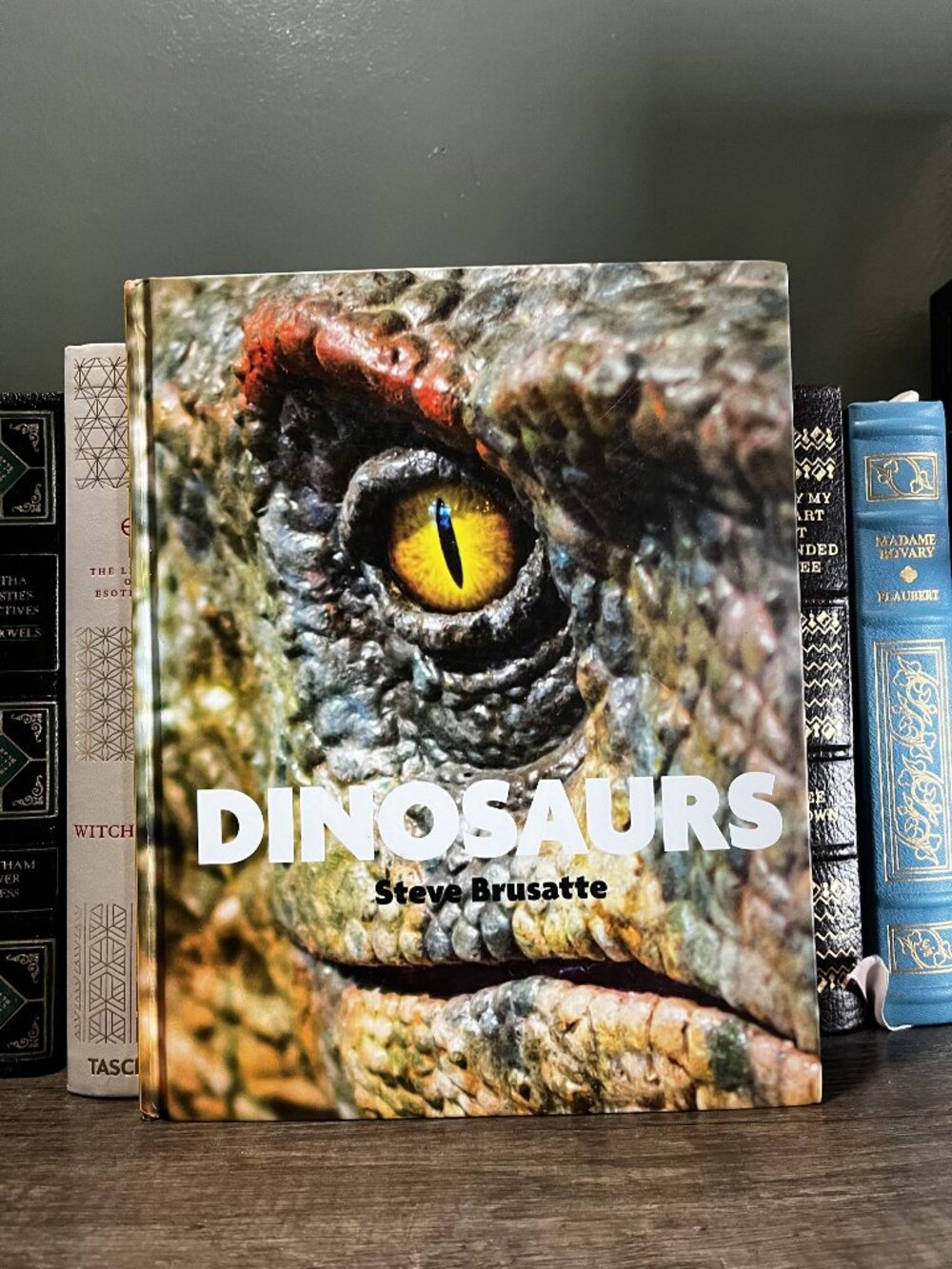 Dinosaurs By Steve Brusatte Hardcover Book